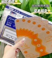 ( 1 Packet 7 Pcs) Japanese Pain Relief Patches